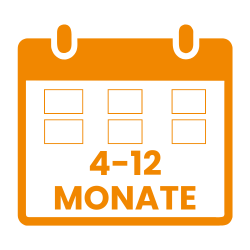 4-12 Monate